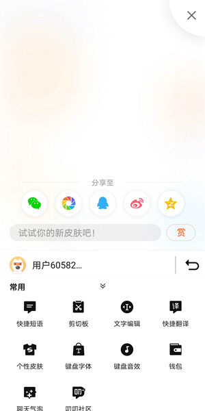Screenshot_20200624_143753_com.sohu.inputmethod.s.jpg