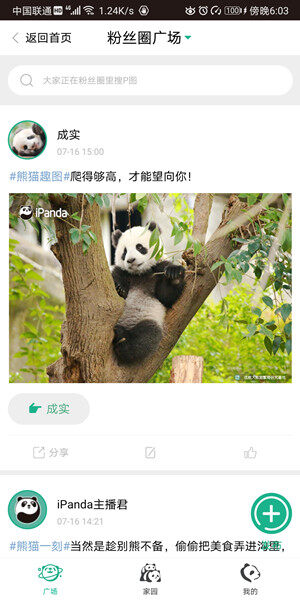 Screenshot_20200716_180331_cn.cntv.app.ipanda.jpg