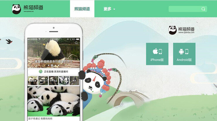 熊猫频道-提供24小时不间断大熊猫生活直播的看熊猫平台