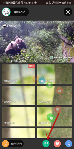 Screenshot_20200716_180326_cn.cntv.app.ipanda.jpg