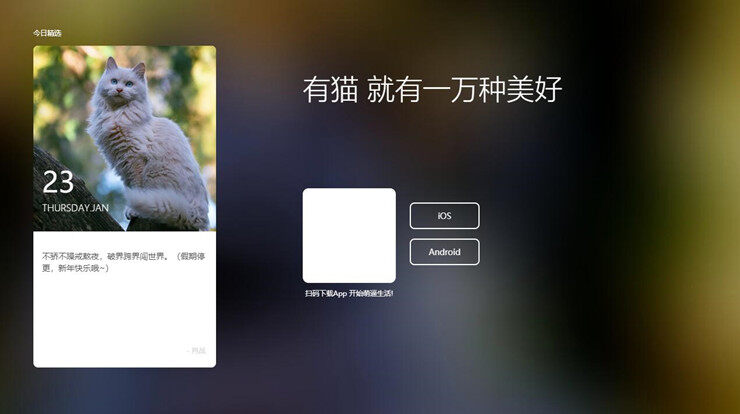 一日猫-可以让你身临其境体验有猫生活的app