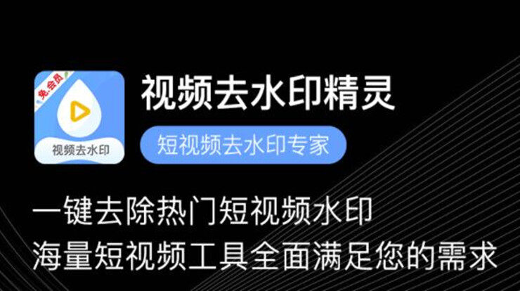 视频去水印精灵-可以让你去除视频水印和提取视频的视频编辑工具