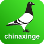 中国信鸽信息网