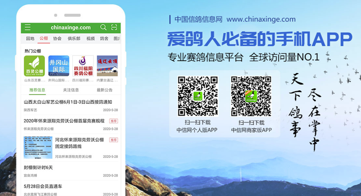 中国信鸽信息网-提供信鸽交流圈子、鸽子相关商品、鸽子买卖服务的生活实用app
